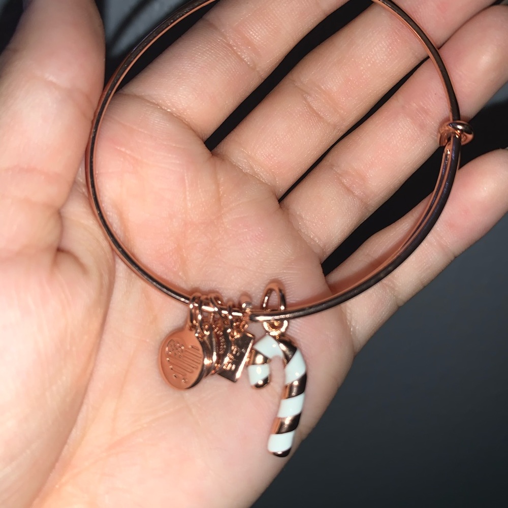 Candy cane Alex and Ani bracelet
